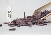 大雪節(jié)氣中藥鎖陽能補(bǔ)陽益陰