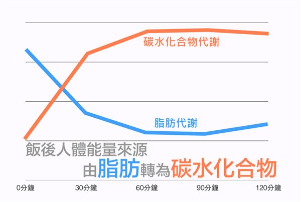 空腹運(yùn)動(dòng)的理論基礎(chǔ)