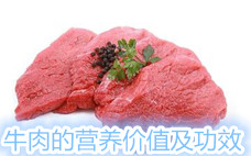 牛肉醬有多少大卡 牛肉醬有什么用途