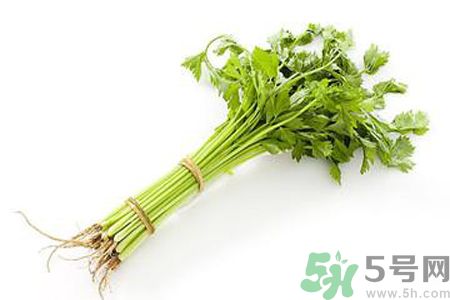 芹菜可以減肥嗎？芹菜有什么功效？