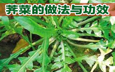 芥菜有什么營(yíng)養(yǎng)價(jià)值呢 吃芥菜有什么好處呢