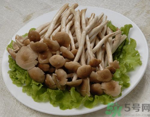 茶樹(shù)菇可以生吃嗎?茶樹(shù)菇生吃會(huì)怎么樣