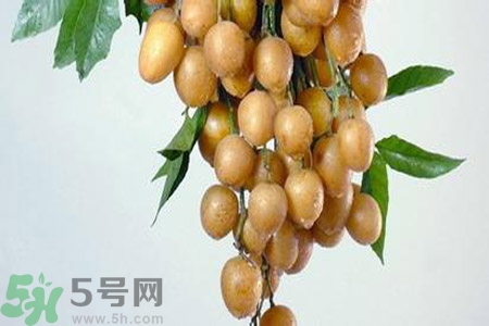 黃皮果是不是發(fā)物？黃皮果是發(fā)物嗎？