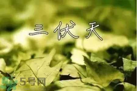 三伏天什么時(shí)候開(kāi)始？三伏天是什么意思？