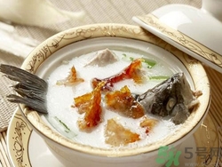 煲湯用什么魚好?什么魚適合煲湯?