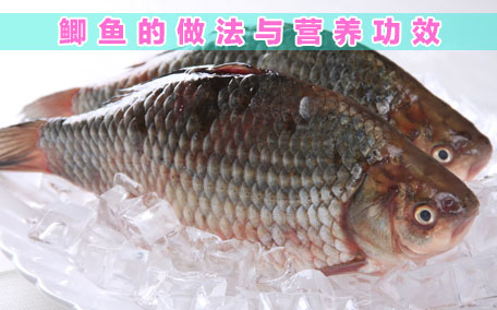 鯽魚病人可以吃嗎 鯽魚不適合什么人吃