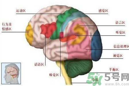 腦出血的發(fā)病因素是什么？腦出血的并發(fā)癥有哪些？