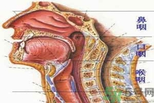 鼻咽癌的治療方法是什么？鼻咽癌可以用什么藥物治療？