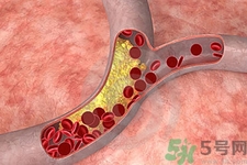 膽固醇對(duì)人體有傷害嗎？膽固醇是什么？