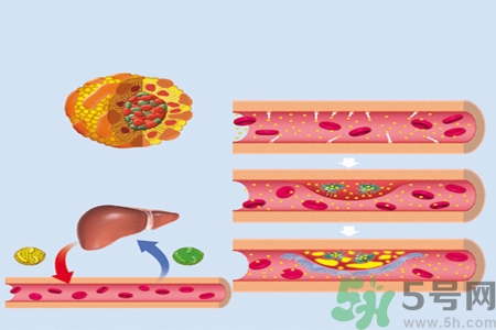 膽固醇對(duì)人體有傷害嗎？膽固醇是什么？