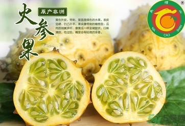 刺角瓜的功效作用 刺角瓜的營(yíng)養(yǎng)價(jià)值食用禁忌