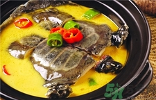 甲魚的營養(yǎng)價值 甲魚的功效與作用