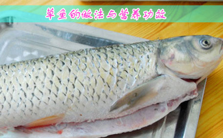 草魚(yú)頭湯怎么做好吃 草魚(yú)頭湯的簡(jiǎn)單做法