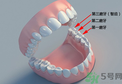 磨牙能治好嗎?睡覺為什么會(huì)磨牙