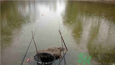 十月下雨能釣魚嗎?十月下雨天鰱魚好釣嗎?