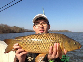 夜釣鯉魚用什么餌料？秋天夜釣鯉魚用什么餌料？