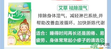 樹之惠足貼5款區(qū)別？樹之惠足貼哪款好用？