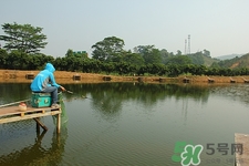 冬天釣魚好釣嗎?冬天釣魚用什么魚餌