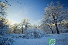 下雪天會打雷嗎？下雪天為什么會大雷？