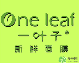 一葉子面膜會(huì)過敏嗎？一葉子面膜會(huì)不會(huì)過敏？