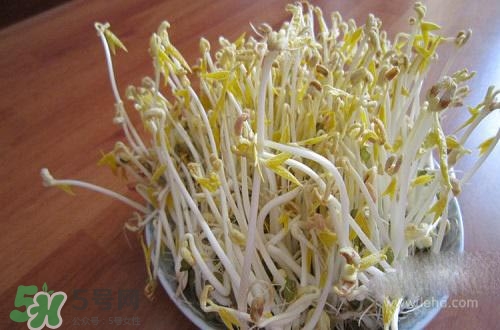 豆芽糖尿病可以吃嗎？糖尿病吃豆芽有什么好處？