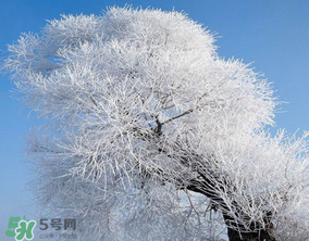 2017年第一場(chǎng)雪什么時(shí)候？2017年什么時(shí)候下雪？