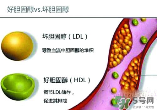 膽固醇高是血脂稠嗎？膽固醇高和血脂稠有什么聯(lián)系？