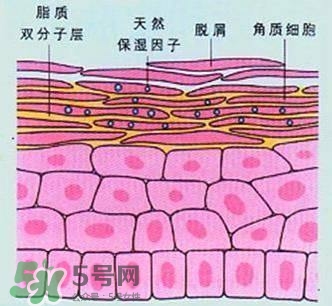 敷面膜真的有效嗎？敷面膜真的有用嗎？