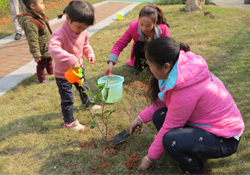 植樹節(jié)一般種什么樹？植樹節(jié)種什么樹比較好？