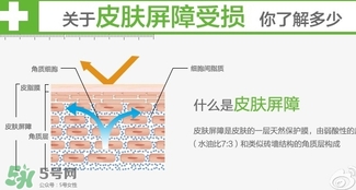 玉澤和至本哪個好？玉澤和至本區(qū)別對比