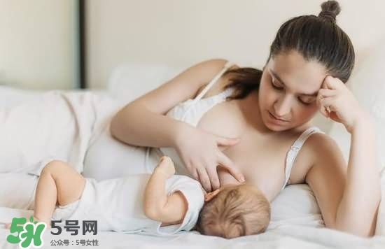 哺乳期能喝板藍(lán)根嗎 哺乳期板藍(lán)能喝嗎