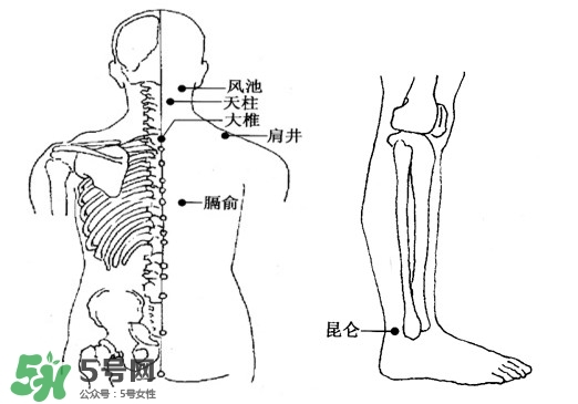 刮痧能治頸椎病嗎？頸椎病刮痧正確圖片