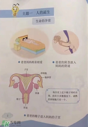 孩子瀏覽成人網(wǎng)站怎么辦？小學(xué)性教育有沒有必要？