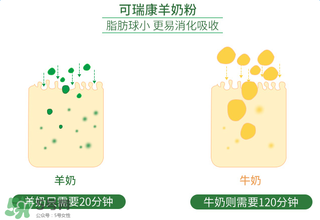 可瑞康羊奶粉事件真相 可瑞康羊奶粉事件是什么