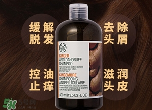 美體小鋪生姜洗發(fā)水怎么樣？the body shop生姜洗發(fā)水使用心得