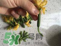 黃瓜花能吃嗎？黃瓜花怎么吃