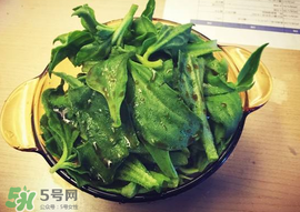 吃冰菜有什么好處？冰菜吃了有什么好處？