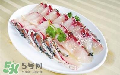 生魚是什么魚？生魚片是什么魚