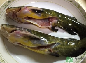 嘎魚是鯰魚嗎？嘎魚是黃辣丁嗎