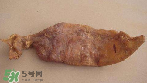 黃唇魚魚鰾是什么？魚鰾是魚的哪個部位