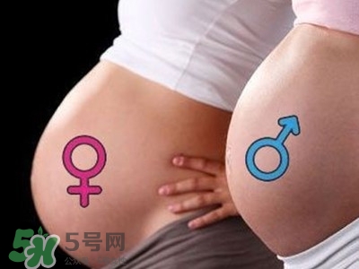 B超單數(shù)據(jù)怎么看男女？B超單看男女準嗎？