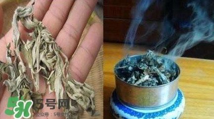 艾葉可以驅(qū)蚊子嗎？艾葉能驅(qū)蚊子嗎