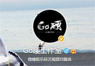 go硬工作室和卓偉有什么關(guān)系？go硬工作室是卓偉前員工成立的？