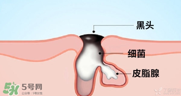 城野醫(yī)生毛孔收斂水真的有用嗎