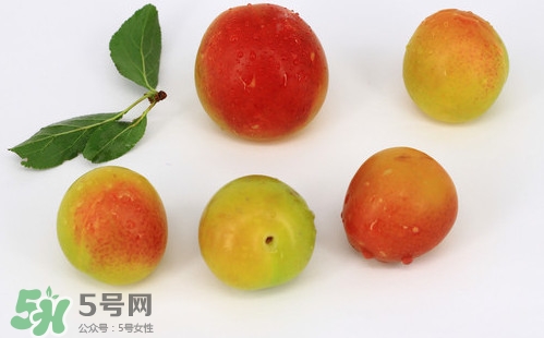 雙華李有什么營養(yǎng)？雙華李的營養(yǎng)價值