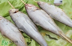 馬口魚怎么釣？馬口魚什么時候釣最好