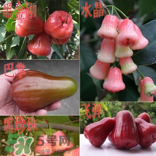 蓮霧什么季節(jié)吃最好？什么品種的蓮霧最好吃