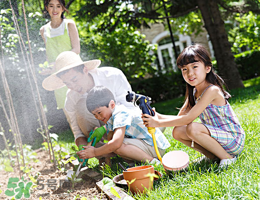 八月份可以種什么菜？八月份適合種植的蔬菜