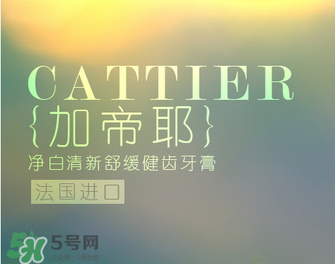 cattier加帝耶是什么牌子？法國cattier什么檔次？