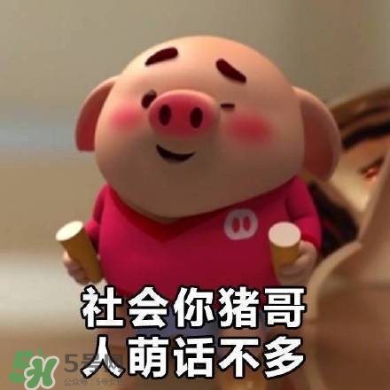 豬小屁表情包是什么？豬小屁表情包為什么這么火？